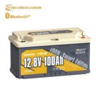 Power Queen Batterie Lithium LiFePO4 12V100Ah Sous Siège de Fourgon Bluetooth5.0 H188mm , panneaux solaire, hors réseau,