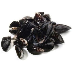 Moule De Bouchot Sac 5 Kg Cdiscount Au Quotidien