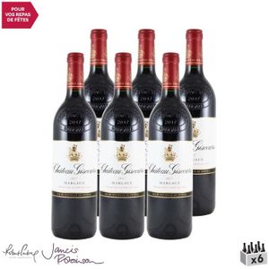 VIN ROUGE Château Giscours Rouge 2017 - Lot de 6x75cl - Vin 