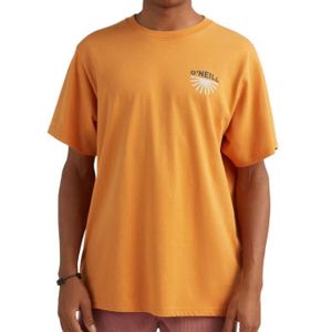 T-SHIRT T-shirt Orange Homme O'Neill Albor
