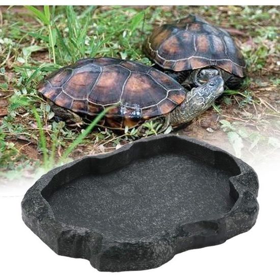 Abreuvoir Tortue Terrestre, Abreuvoir Reptile Avec Bouteille