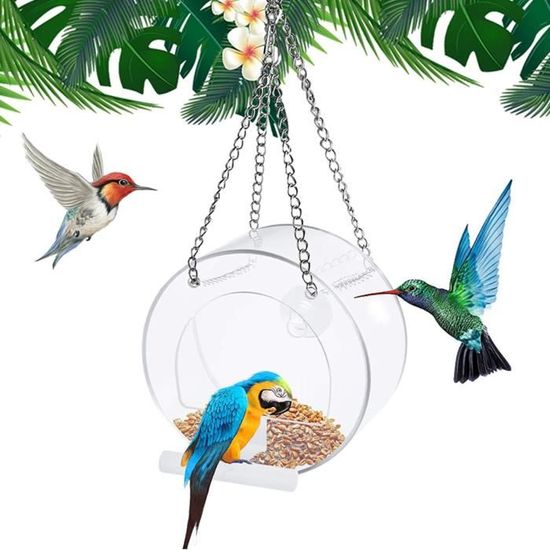 Mangeoire à oiseaux ronde exquise, suspension dans la cour et mangeoire à oiseaux avec ventouse 24
