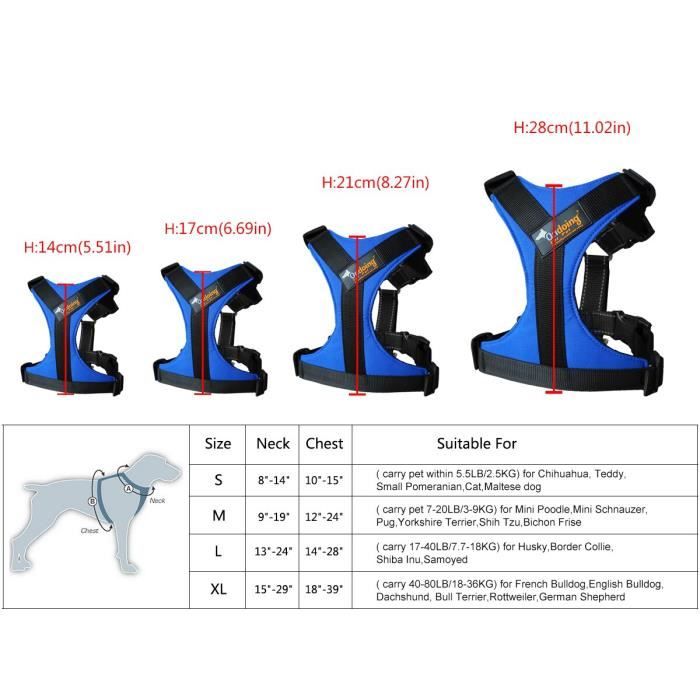 Harnais pour chiens avec pince frontale - Harnais pour animaux de compagnie, pour la marche Oxford- - Modèle: Blue M - HOCWMJB08721
