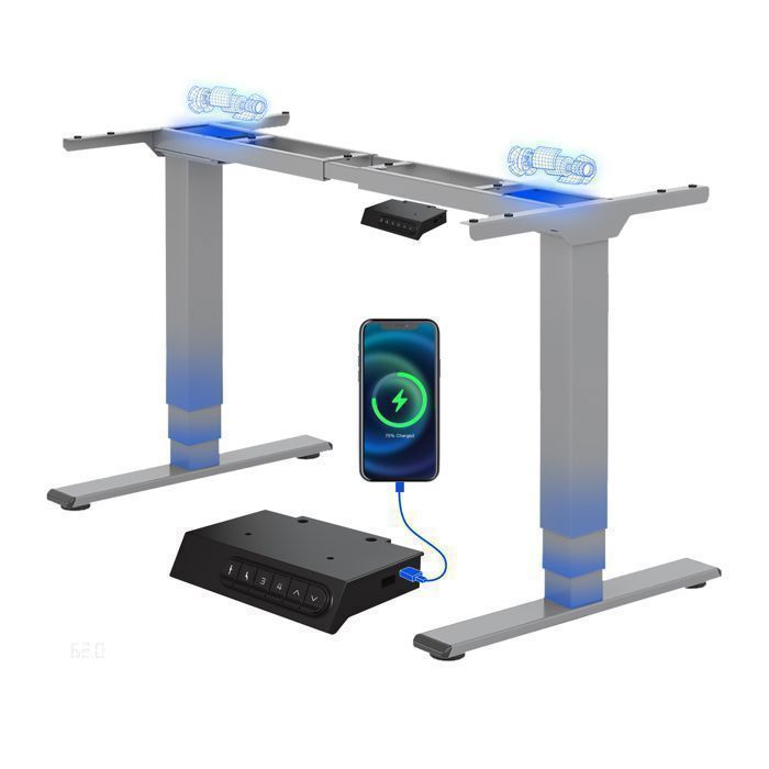 FlexiSpot Bureau Assis Debout Charge 120kg 2 Moteurs Cadre de Bureau avec Port-Type C/A Système Anti-Collision Gris