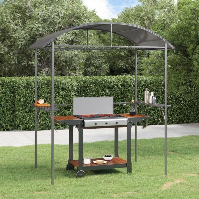 Belvédère pour barbecue - vidaXL - 220x115x230 cm - Anthracite - Cadre en acier - Toit en panneau PC