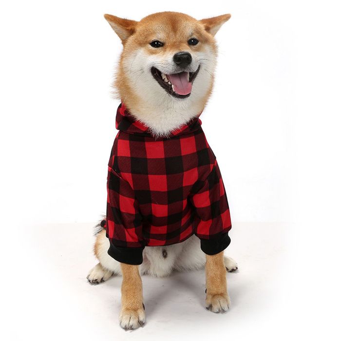 Pull pour chien en tissu molletonné coupe ample idéal froid et promenades urbaines