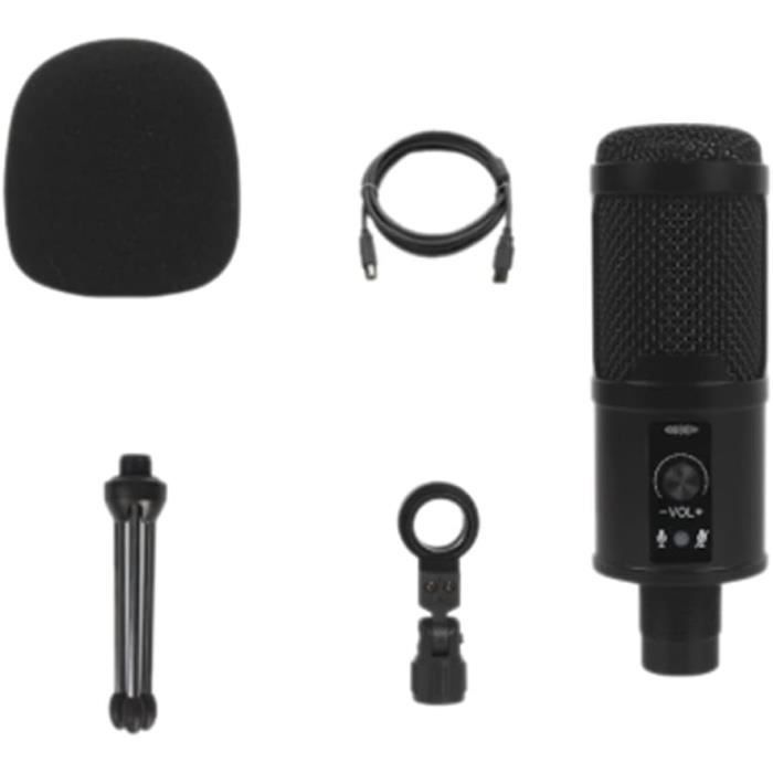 USB Microphone Micro à Condenseur Sonore Audio Studio DJ Chant