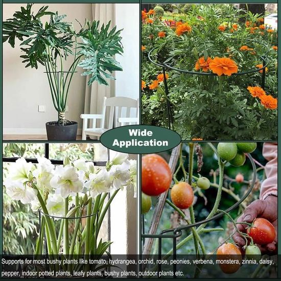 Lot de 3 tuteurs de support pour plantes de jardin, cage en plastique,  anneau de support pour plantes rondes, tomates, rose, vi A493 - Cdiscount  Jardin