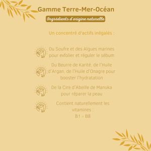 Lot de 5 feuilles de toile en plastique blanc avec 4 aiguilles à