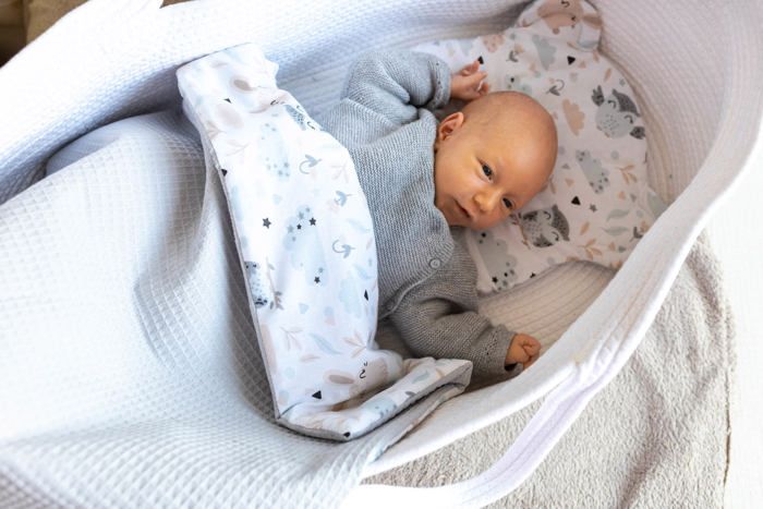Couverture bébé coton doudou 75x60 cm - doudou enfant avec oreiller 30x30  cm doudou bébé nouveau né confort doudou landau - Cdiscount Puériculture &  Eveil bébé