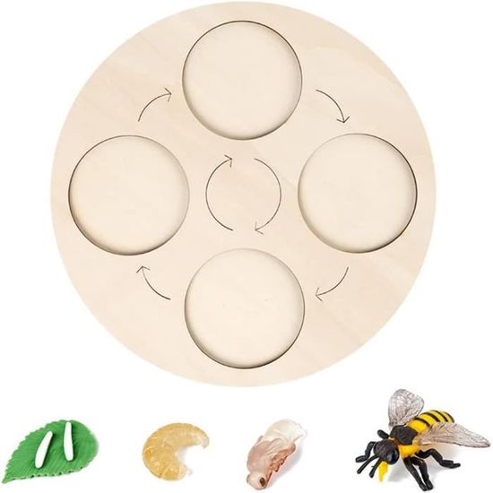 JOKFEICE Lot de 13 jouets dinsectes,Cycle de vie de papillon, abeil JOKFEICE Lot de 13 jouets dinsectes,Cycle de vie de papillon, abeil
