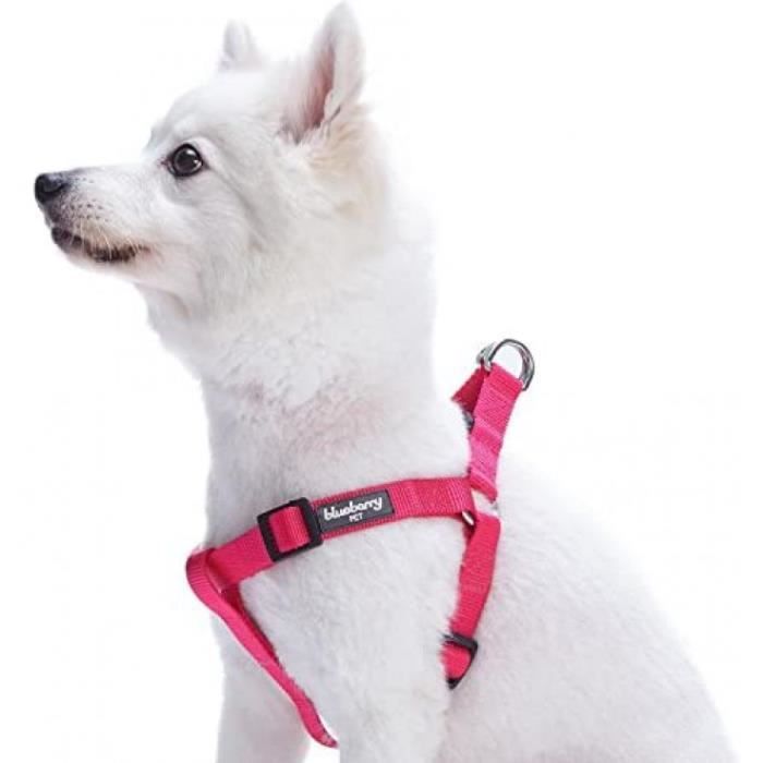 Harnais Tour De Poitrail: 67-98cm, Classique, Solide, Rose Bonbon, Réglable Nylon, Harnais Pour Chien, Collier Et Laisse Assortis V