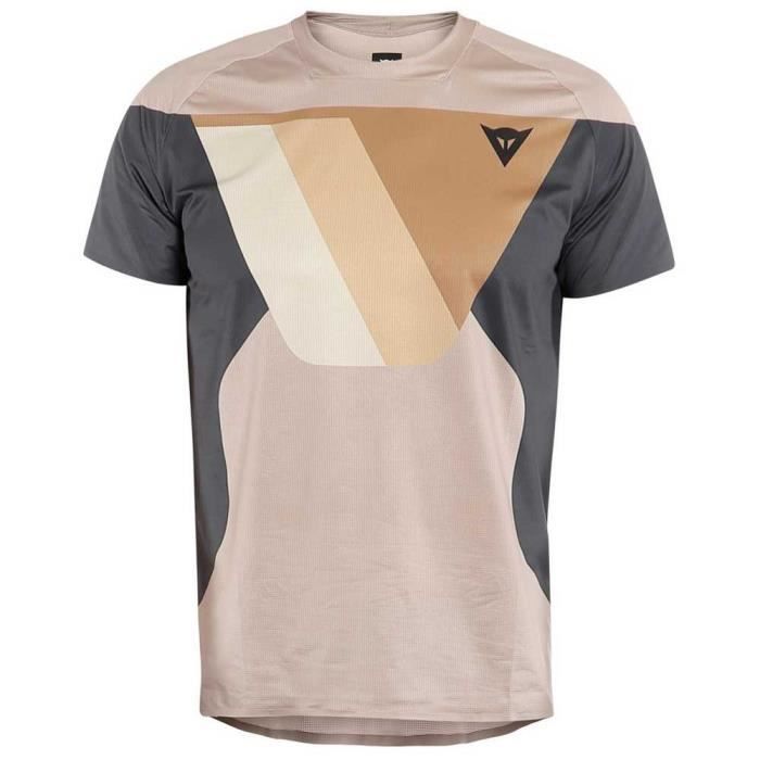 Vêtements Homme T-Shirts Dainese Hg Kaindy