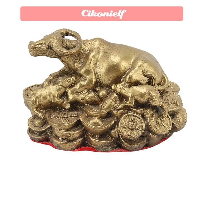TMISHION pièces de monnaie Feng Shui Pièces de monnaie chinoises Feng
