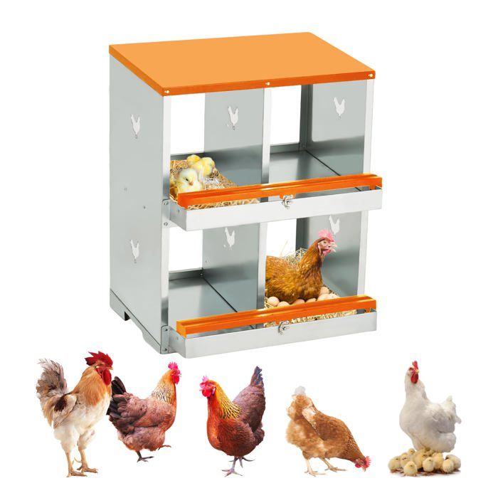 Pondoir Poules Pondeuses 4 Compartiments Poulailler Durable Œufs Protégés et Nettoyage Facile Double Couche Orange