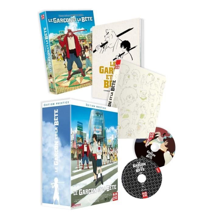 Ken le Survivant - Intégrale - Coffret DVD Collector + Artbook