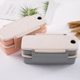1 pc Boîte à Lunch en Fiber de Bambou Portable à Bento Case Double Couche Compartiment à avec Baguettes  - BOITE A REPAS-2