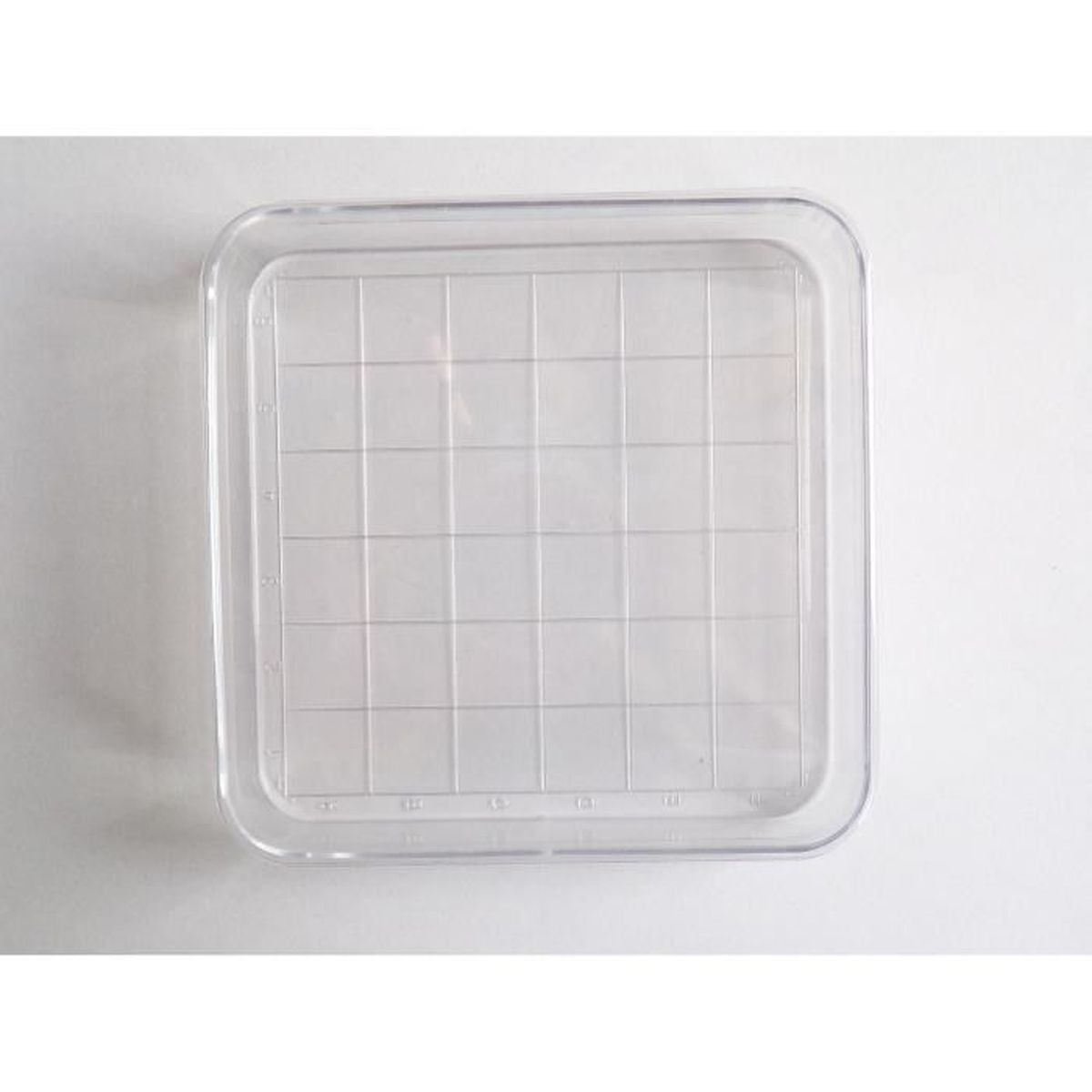 Plastique SEM13 Petri Dish Boîte de Pétri Carré Quadrillée 10x10cm x15mm