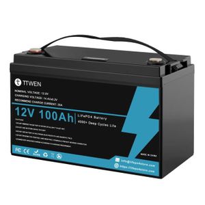 BATTERIE VÉHICULE Batterie au lithium fer phosphate - Batterie Auto 