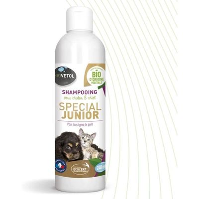Shampoing Doux Chat et chaton Beaphar