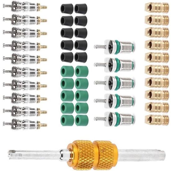 TOWEBOORY 71 Pièces Kit Noyaux Valve Climatisation Voiture - Outils Réparation AC Universel