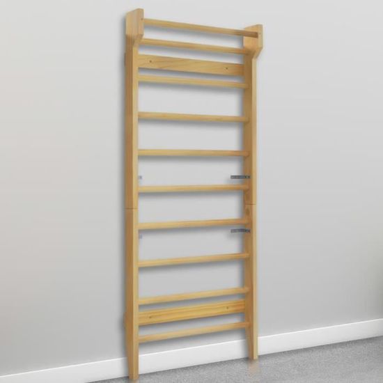 QLS Espalier d'extérieur pour adultes - Échelle de gymnastique - Mur d