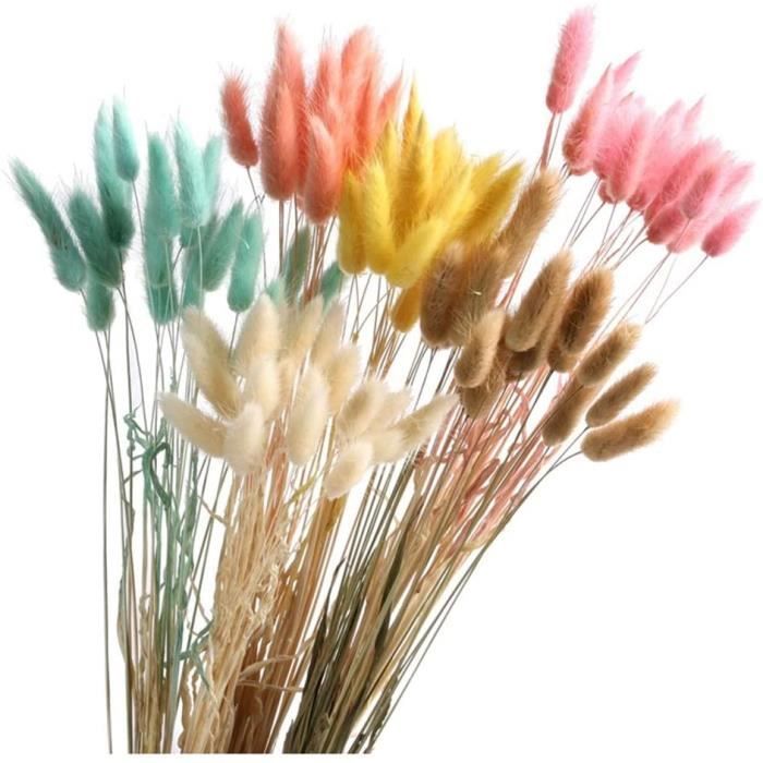 PLANTE ARTIFICIELLE Yw-Flower Herbe De Pampa Séchée Naturelle, Fleurs De Pampa Colorées Fleurs Séch&174