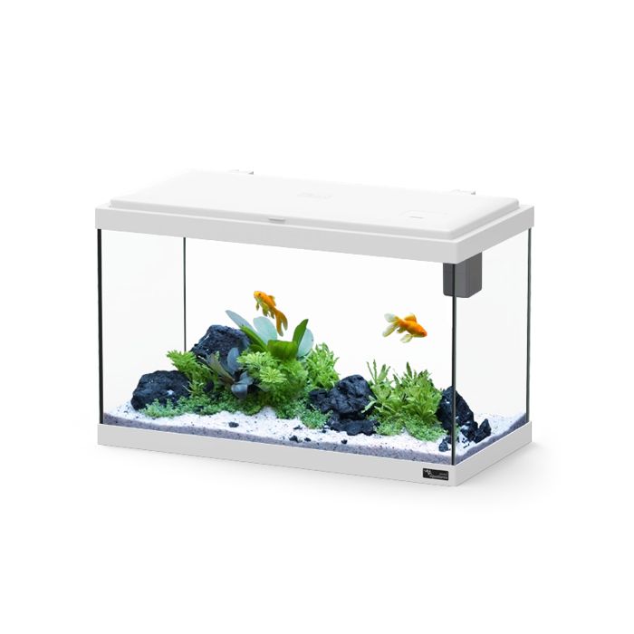 Comparer les prix de Aquarium Poisson Explorer Vienna 42l Blanc - Aquatlantis