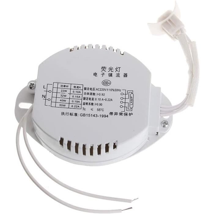 Ballast électronique, ballast électronique pour tubes annulaires