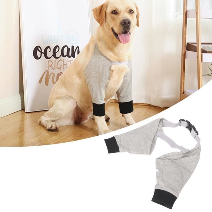 Meilleurs prix pour Coudière pour Chien - V GEBY - Recovery Sleeve - Gris - Respirant et Confortable