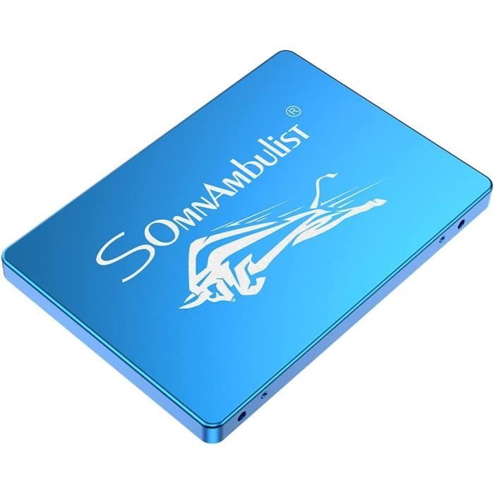 Somnambulist - Disque Dur Interne SSD 2To 2.5 pour Ordi…