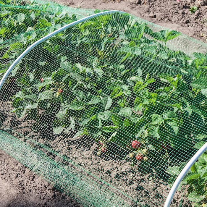 4mx6m Filet de Protection Anti-Oiseaux pour Plantes avec 100 Attaches ...