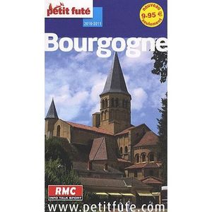 AUTRES LIVRES GUIDE PETIT FUTE ; REGION; BOURGOGNE (EDITION 2010