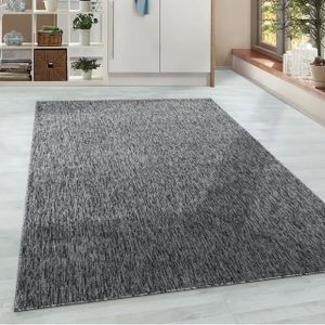 TAPIS Tapis Salon Moderne Tapis Chambre Tapis Gris 80X15