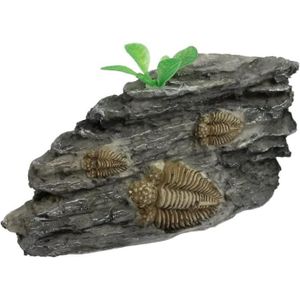 AQUARIUM Décoration d'aquarium Ornement de fossile de Trilo
