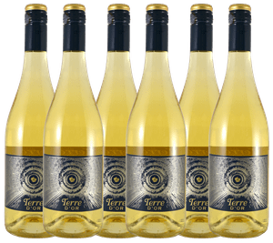 VIN BLANC Terre d'Or 2021 - IGP Côtes de Cascogne - vin blan