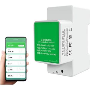 Compteur de consommation d'énergie connecté Wi-Fi 110V/220V 60A / WM