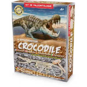 PC EN KIT Ulysse - Kit Paleo - Crocodile - ULYSSE