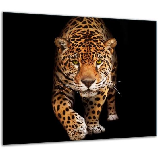 Accessoire Voiture TMK Plaque De Protection En Verre Pour Cuisiniegravere Eacutelectrique Agrave