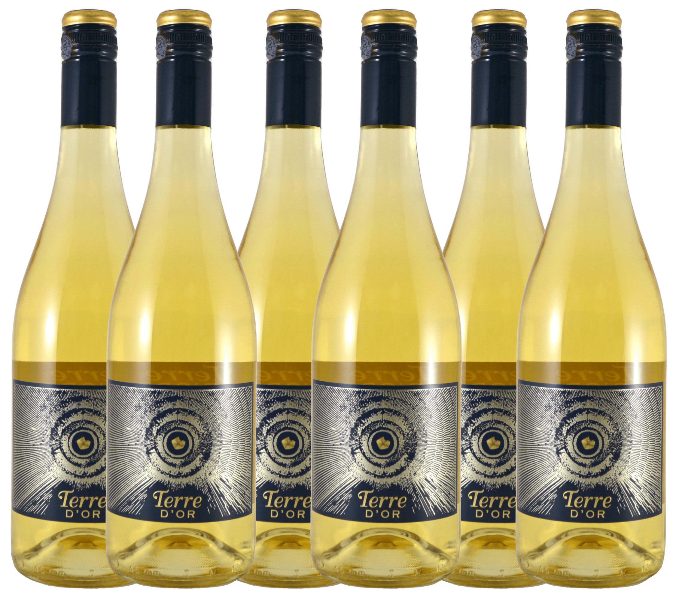 Terre d'Or 2020 - IGP Côtes de Cascogne - vin blanc moelleux - lot de 6 bouteilles 75 cl