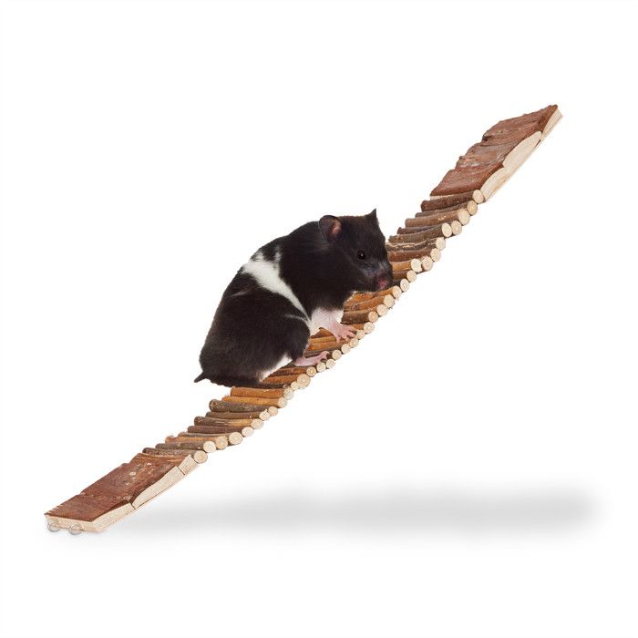 Relaxdays Hängebrücke Nager, biegsam, mit Ösen zum Aufhängen, Sitzbrett Käfig, Vögel, Schimaholz, HBT 1,5x55x10cm, natur