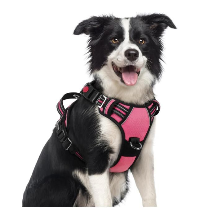 Meilleurs prix pour rabbitgoo Harnais Chien Anti Traction avec 3 boucles pour Chien Facile à Mettre Harnais Réfléchissant Réglable pour Chien Rose M