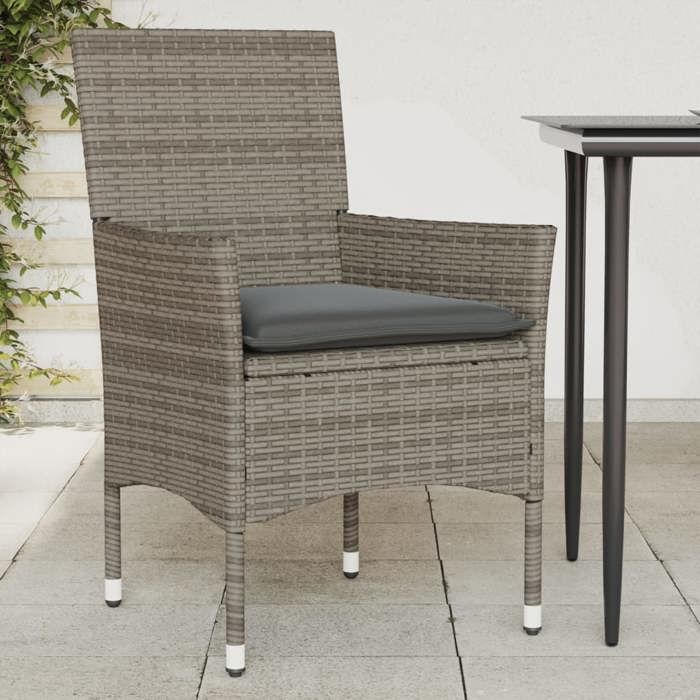 vidaXL Lot de 2 Chaises de Jardin avec Coussins Sièges avec Accoudoirs Fauteuils avec Dossier Meubles de Terrasse 368111