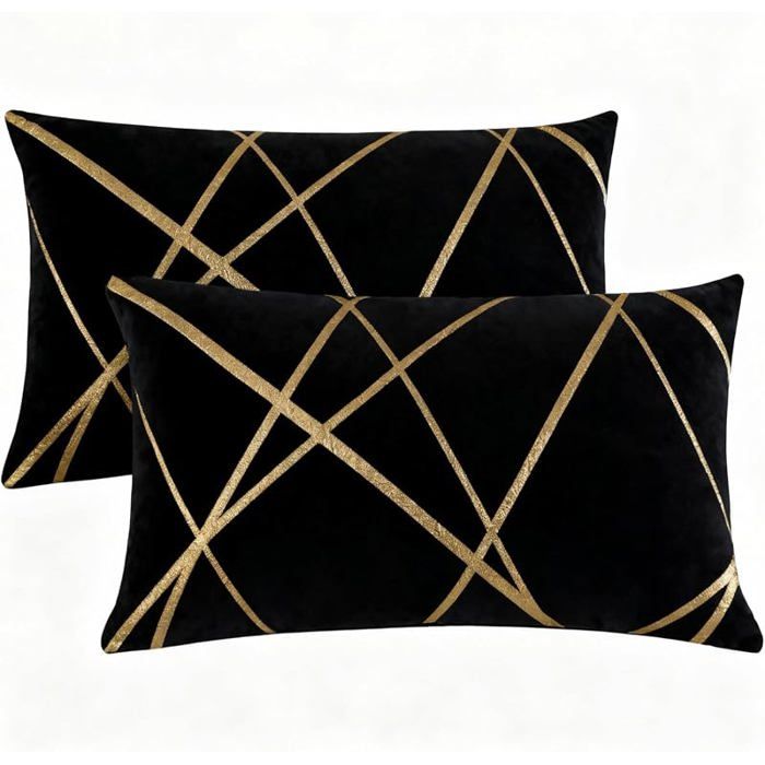 Housse Coussin 30x50 Motif Noir Velours Coussin Decoratif Canape Moderne Aesthetic Taie 50 x 30 cm (Lot de 2) Noi HOUSSE DE COUSSIN