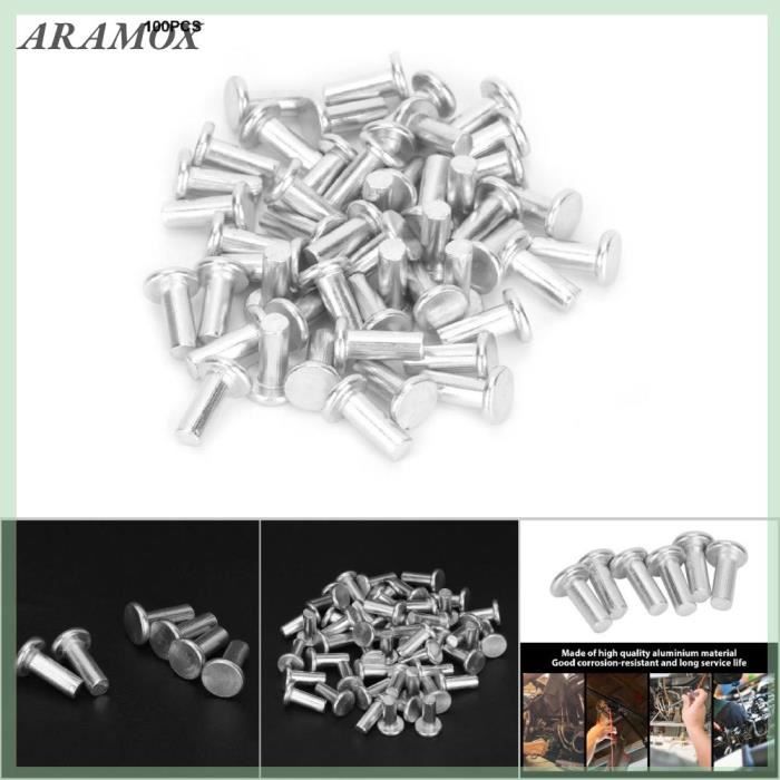 Rivet solide - ARAMOX - GB867 - Aluminium - Tête plate - 100pcs ...