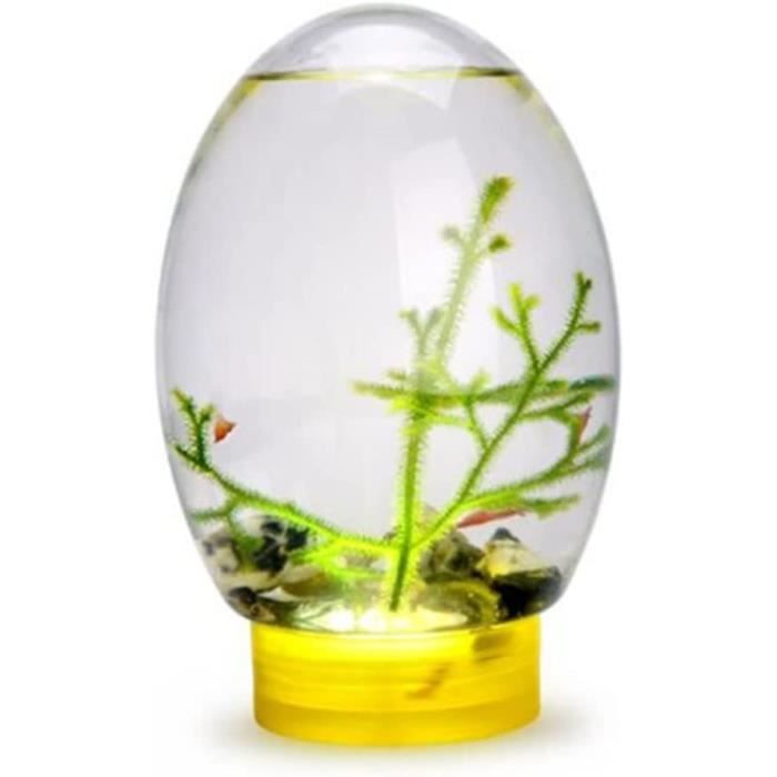 Mini Aquarium, Ecosphère fermé Aquarium de Bureau écosystème Aquatique avec lumière LED et Base