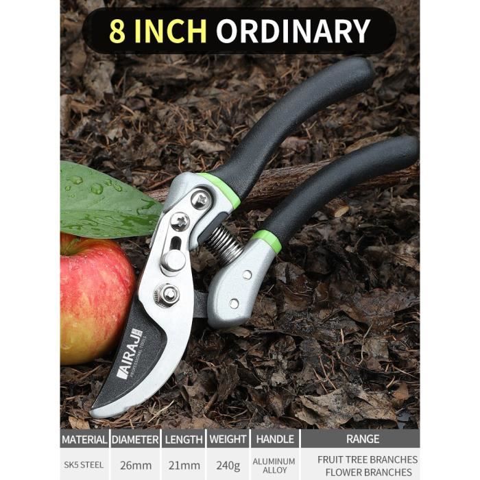 Comment Bien Choisir Un Sécateur Pour La Taille Au Jardin