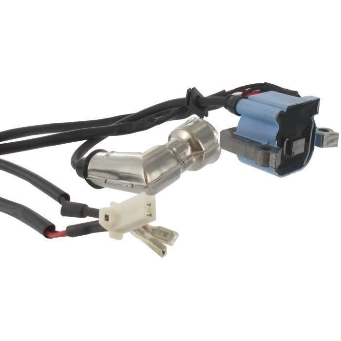 Bobine d'allumage remplace 300191CE, 300472E pour moteur VIPER adaptable sur tarière Earthquake E43C