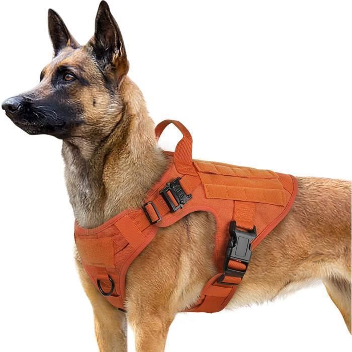 Meilleurs prix pour Rabbitgoo Harnais Chien Harnais Tactiques pour Chien-XL Rough Réglable Résistante pour Randonnées et Chasse