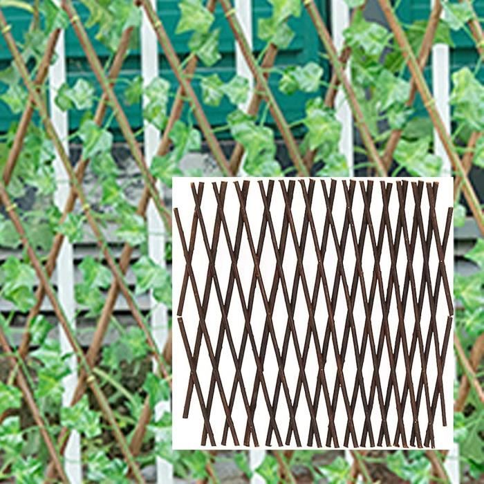 Treillis Extensible En Osier 80x120 Cm - Support Pour Plantes Grimpantes, Décoration Jardin - 4